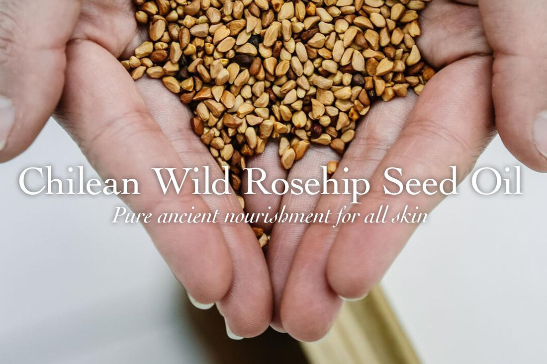 Discovering Chilean Wild Rosehip Seed Oil
