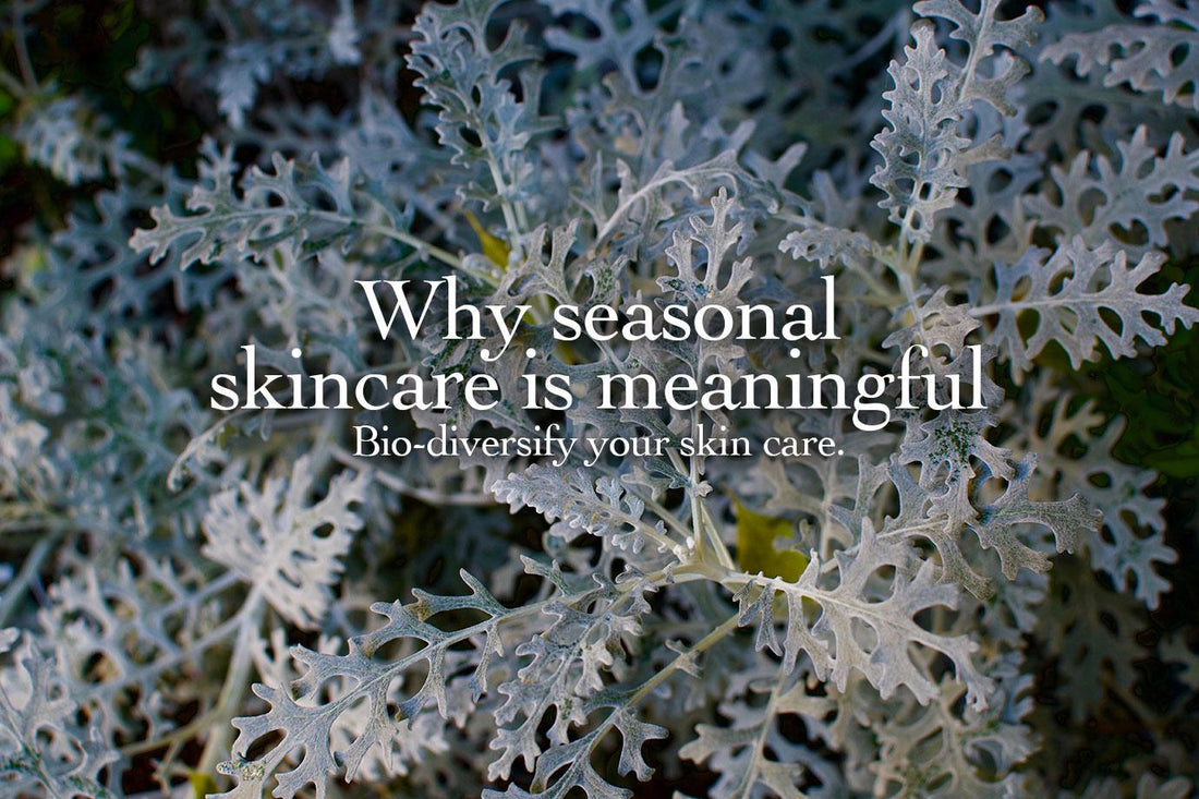 Why Seasonal Skin Care Is Meaningful