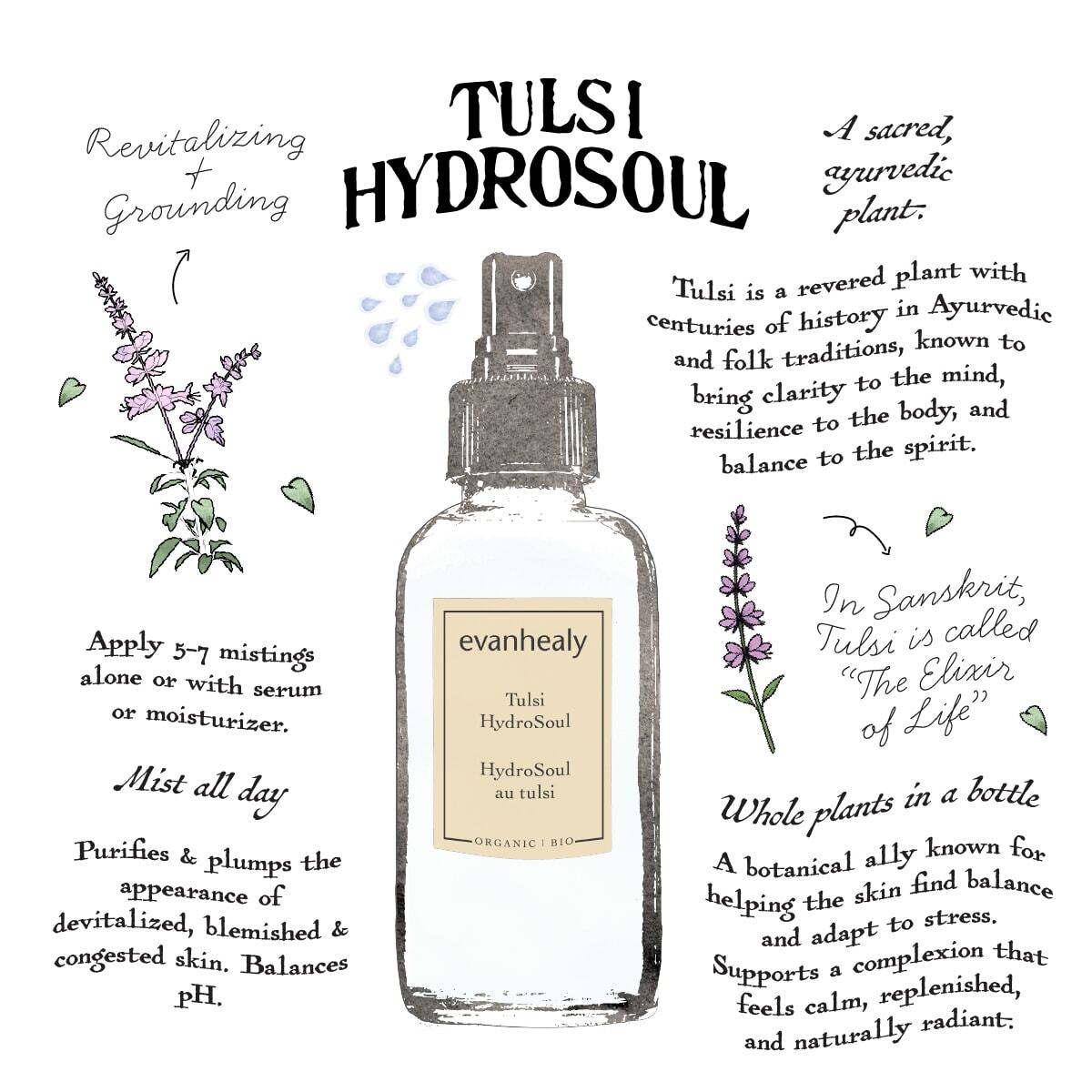 Tulsi (Holy Basil) HydroSoul