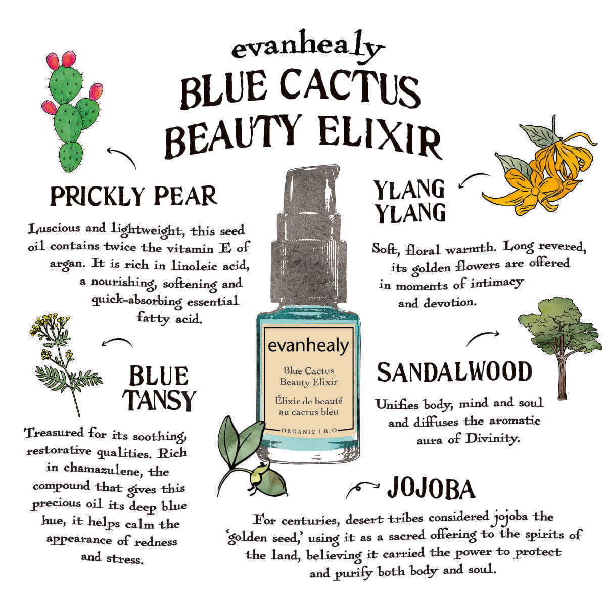 Blue Cactus Beauty Elixir