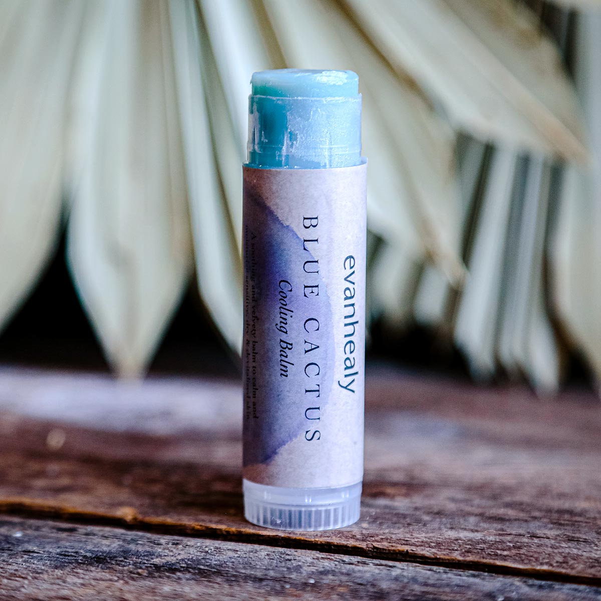blue cactus moisturizing balm stick on wooden table