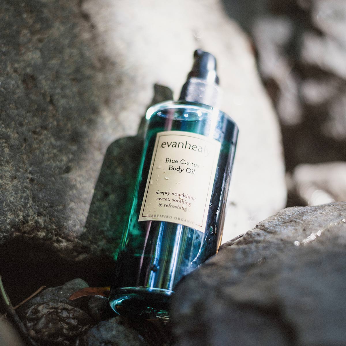 blue cactus body oil moisturizer on rocks
