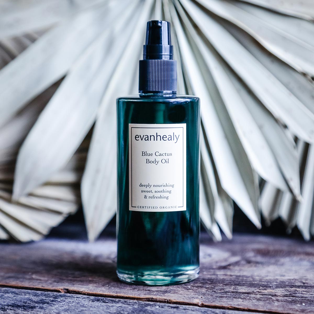 blue cactus body oil with prickly pear seed for dry skin
