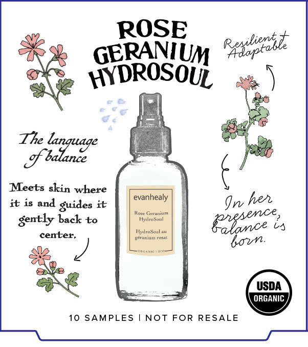 Front view of Rose Geranium HydroSoul 10-pack showcasing botanical artwork and the Rose Geranium Hydrosoul label