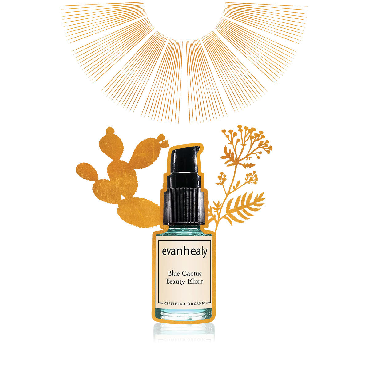 evanhealy blue cactus beauty elixir gilded graphic