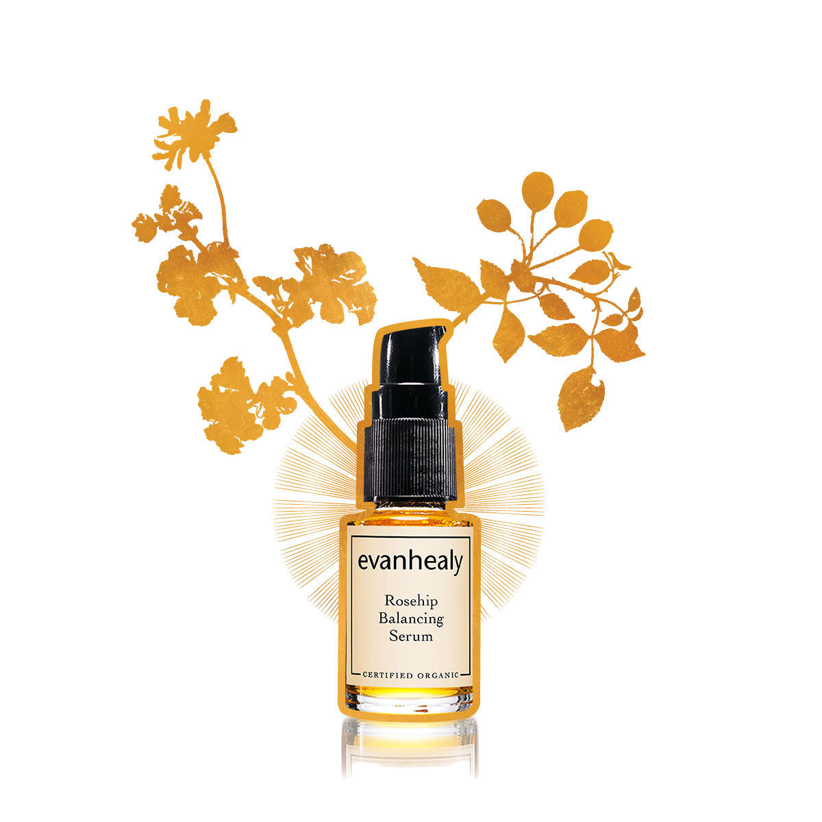 evanhealy rosehip balancing facial oil serum moisturizer gilded graphic