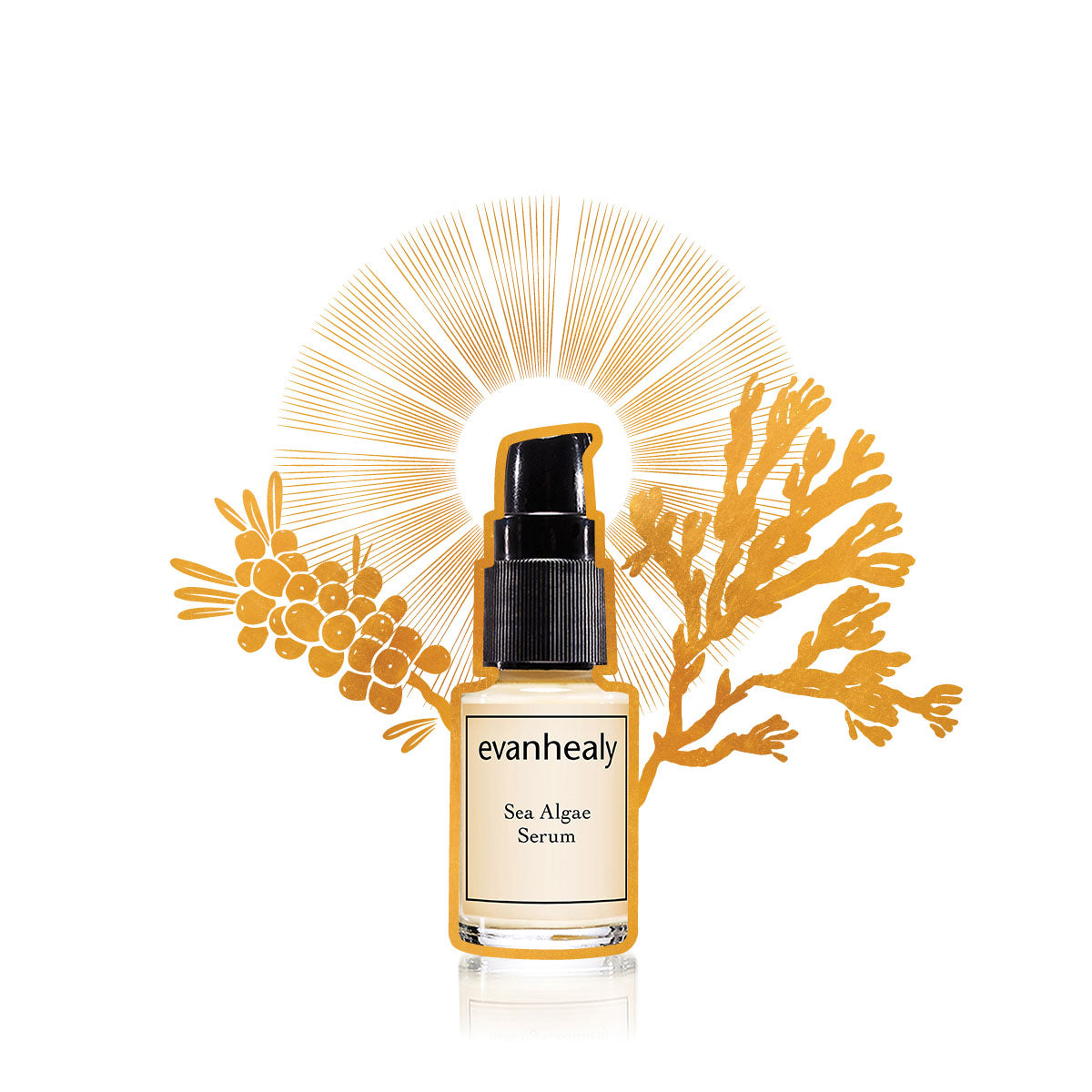evanhealy sea algae facial tightening serum for face gilded graphic