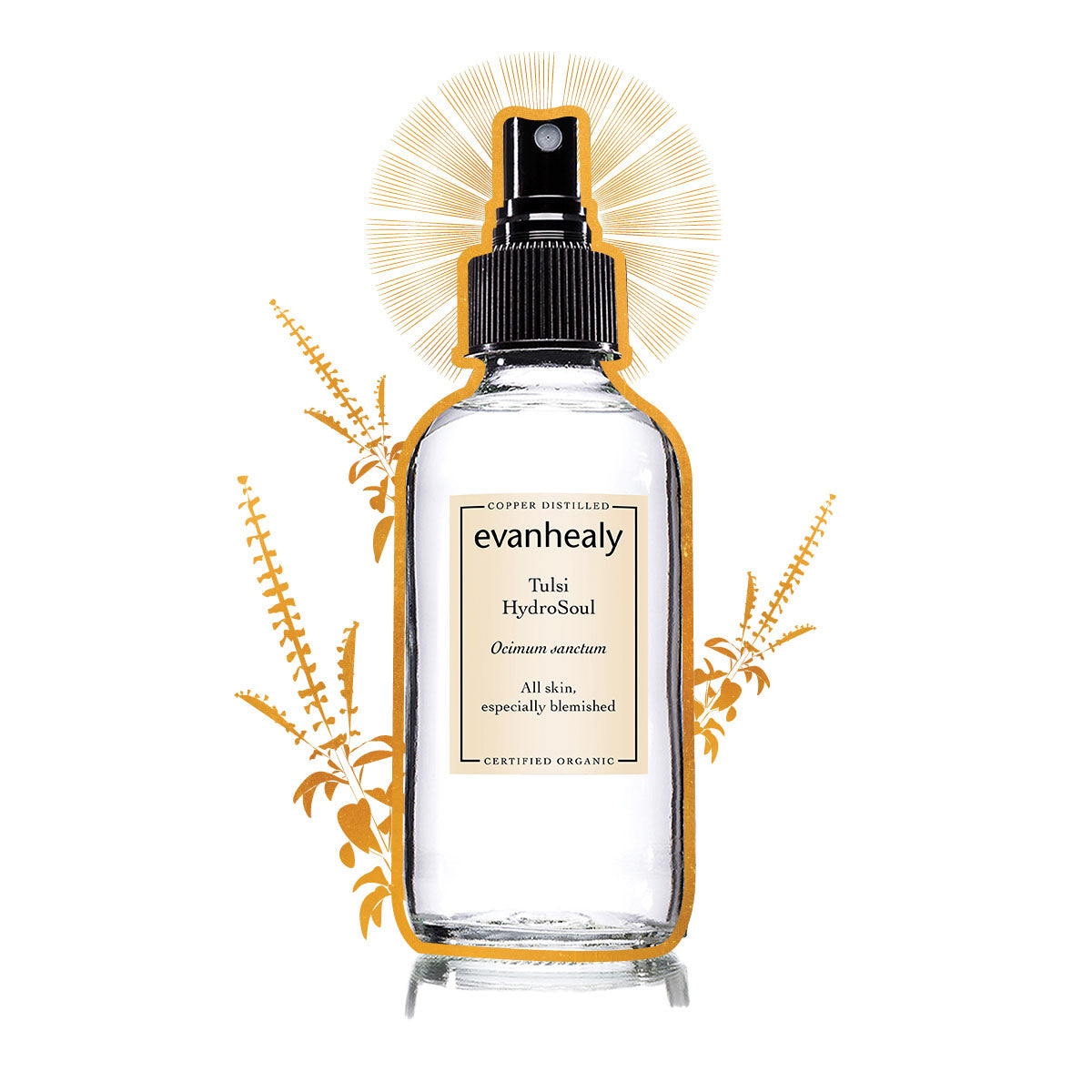 evanhealy organic copper distilled tulsi facial tonic hydrosol gilded graphic