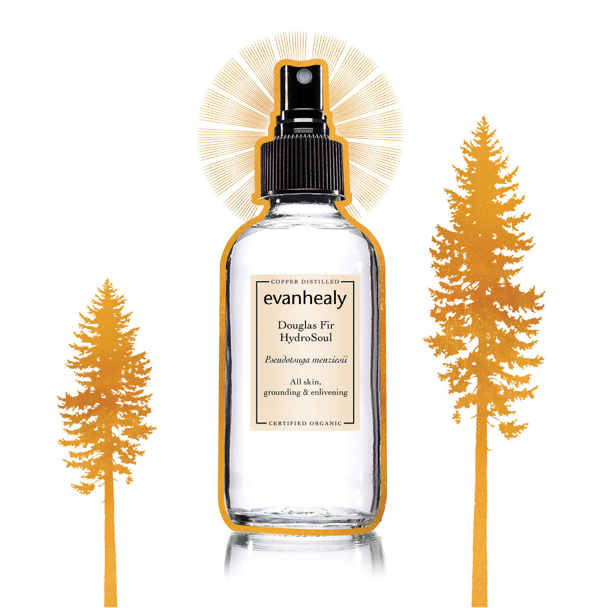 evanhealy douglas fir facial tonic hydrosol gilded graphic