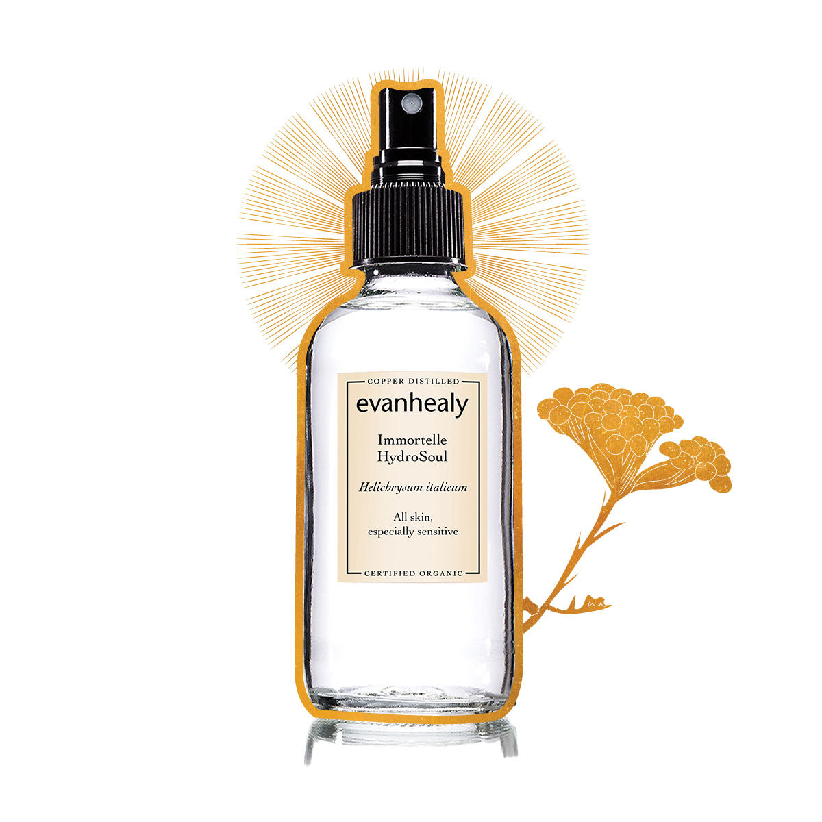 Immortelle HydroSoul