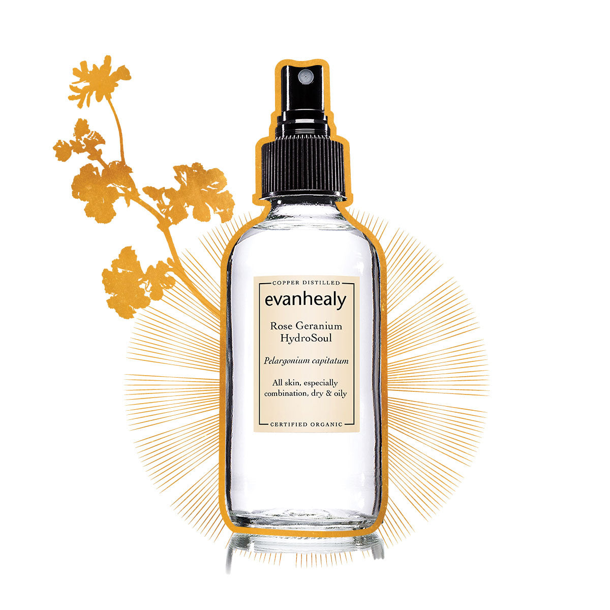 evanhealy rose geranium facial tonic hydrosol gilded graphic