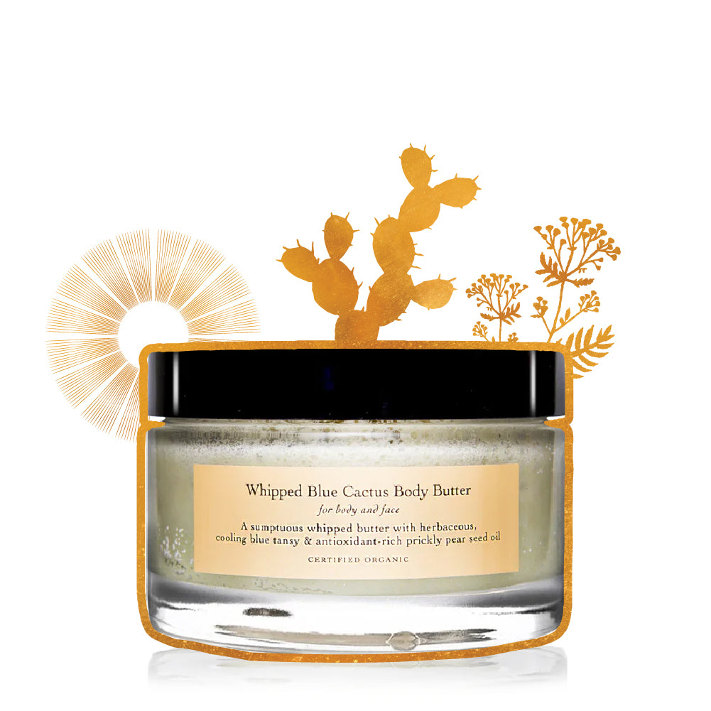 evanhealy whipped blue cactus body butter moisture cream gilded