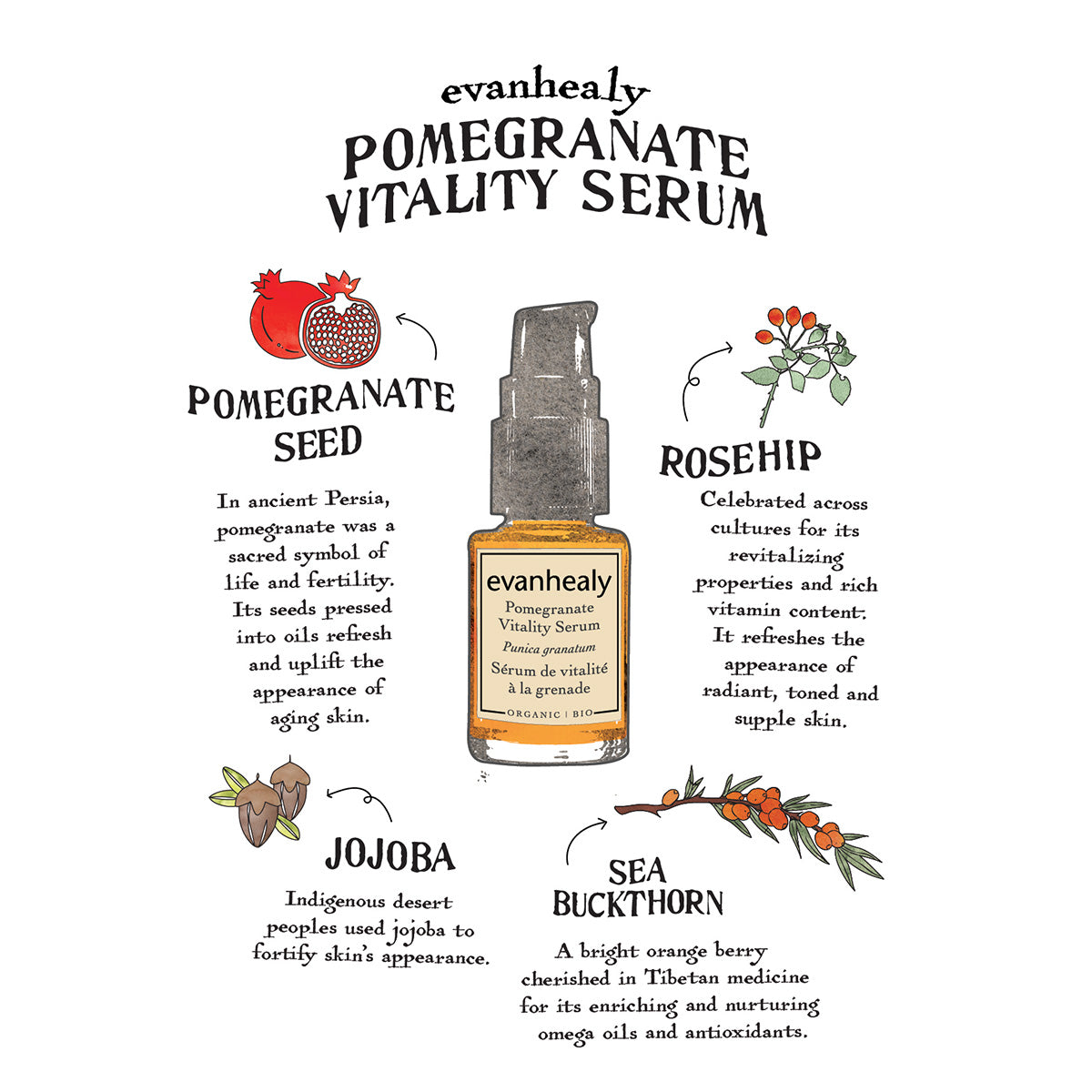 Pomegranate Vitality Serum
