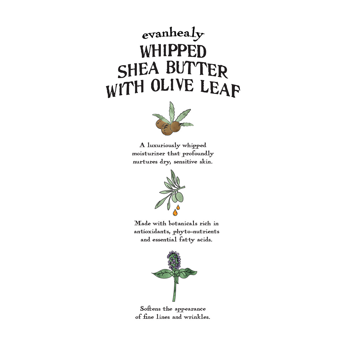 Whipped Shea Butter with Olive Leaf Folklore Card
