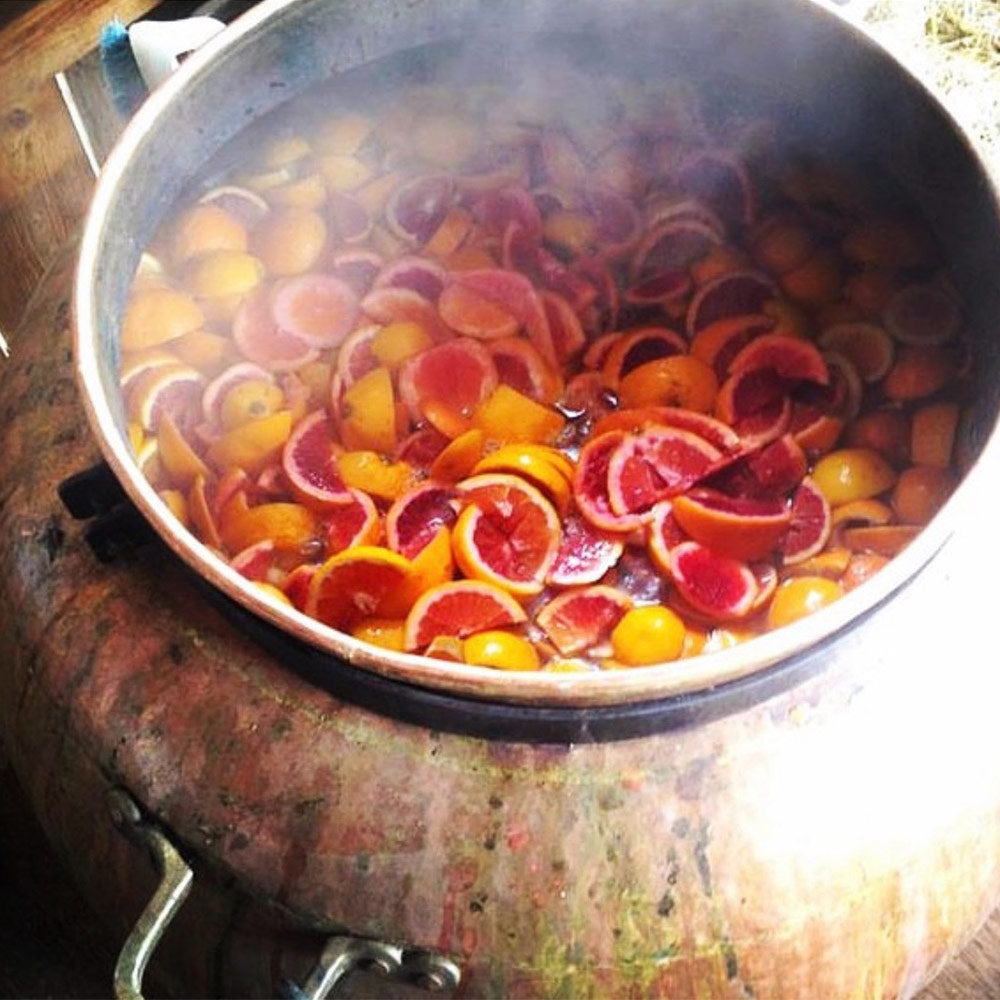 Blood Orange HydroSoul