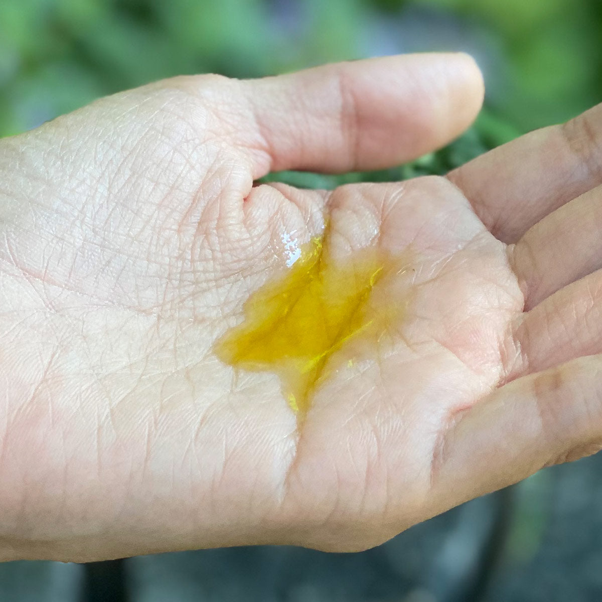Argan Intensive Serum