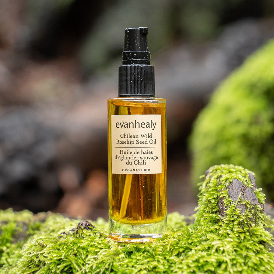 Chilean Wild Harvested Rosehip Seed Oil Certified Organic