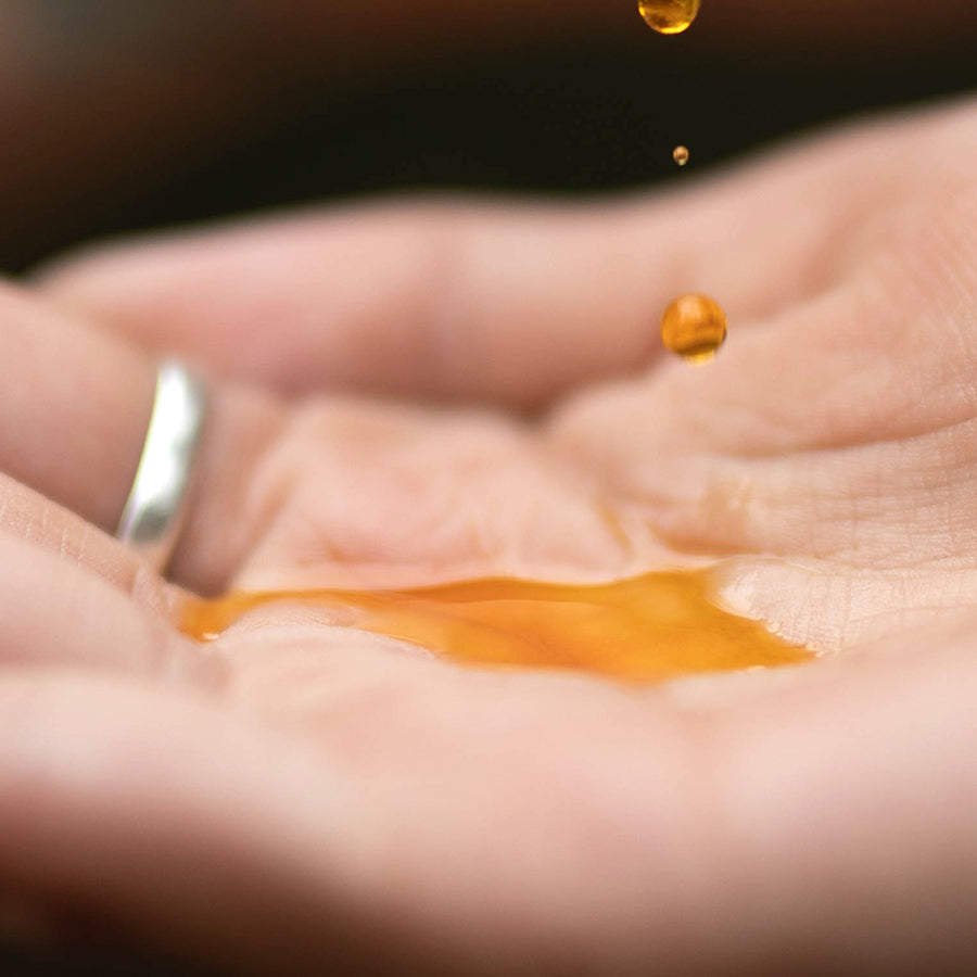 Chilean Wild Rosehip Seed Oil