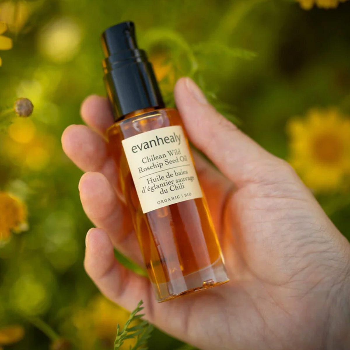 Chilean Wild Rosehip Seed Oil