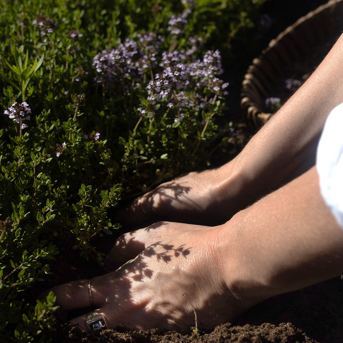 Oil & Water Purifying Ritual
