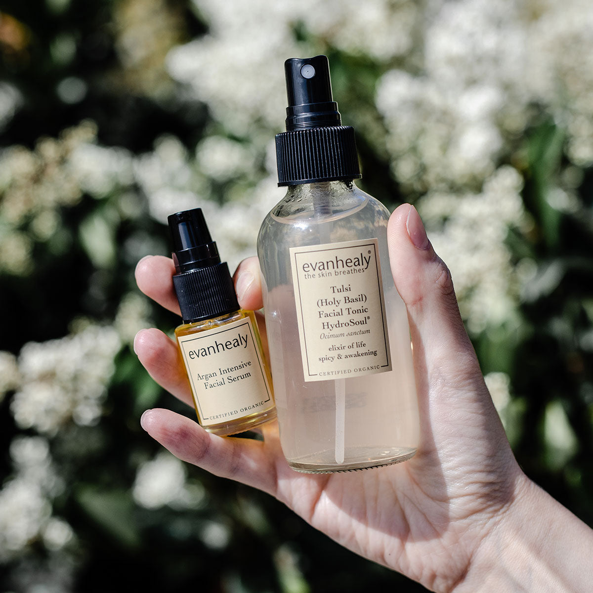 model holding argan intensive facial serum and tulsi holy basil tonic water in hand in nature