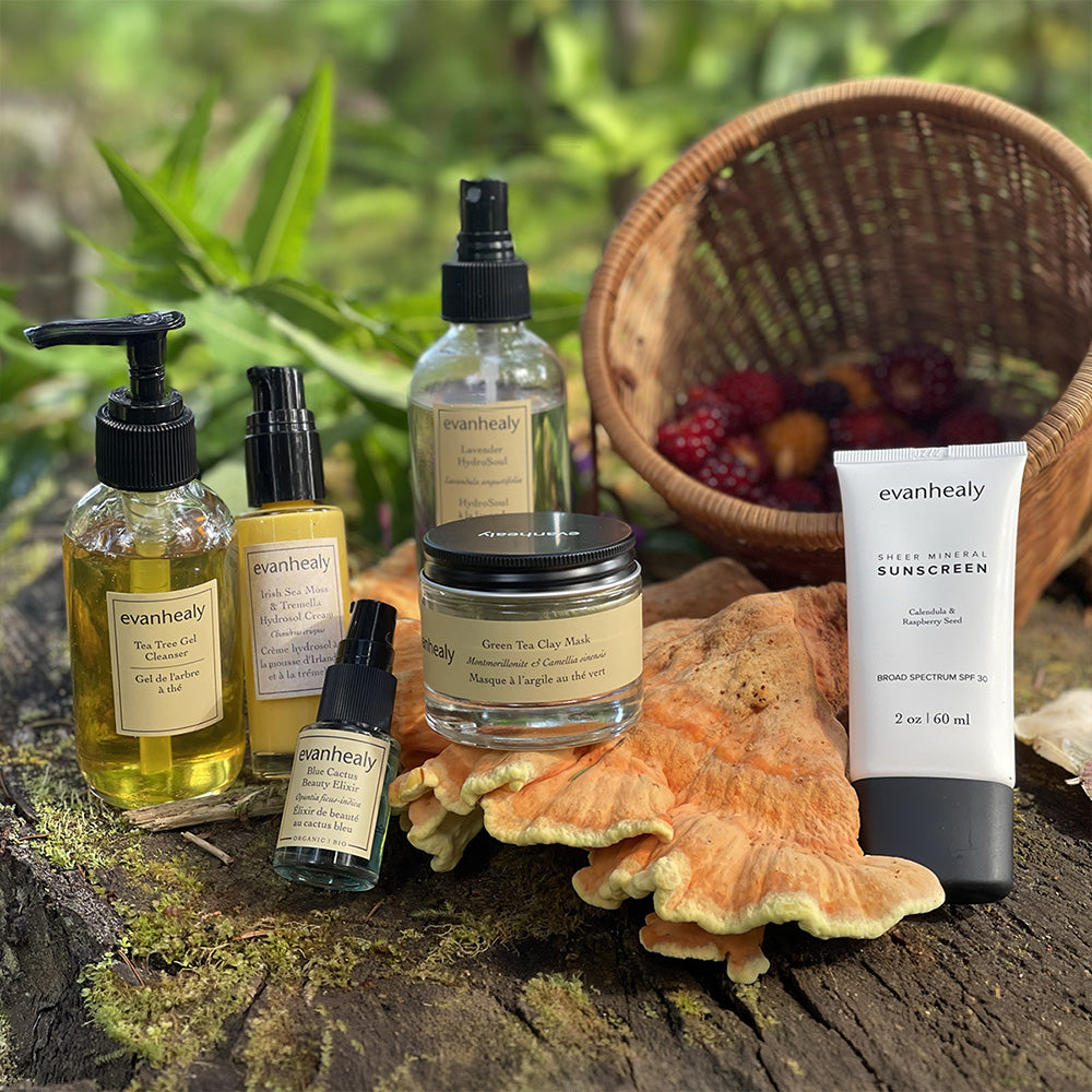Summer Skin Care Ritual for Dry & Dehydrated Skin | evanhealy
