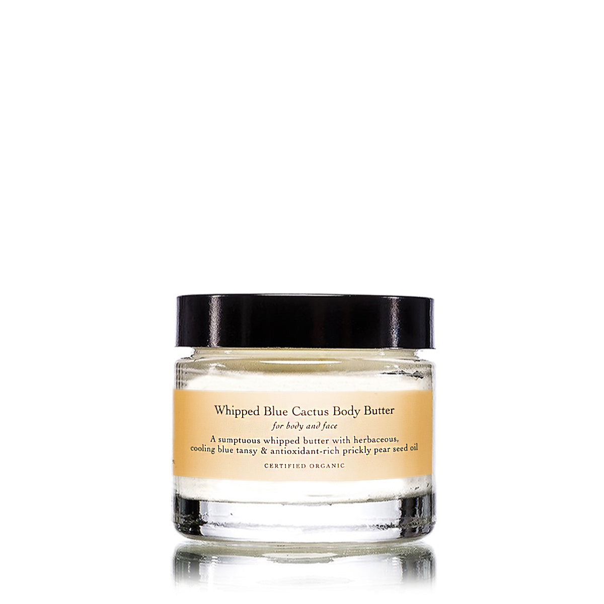 travel size evanhealy whipped blue cactus body butter for skin