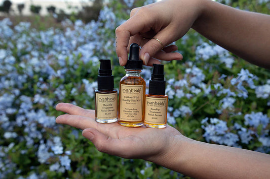 A Complete Guide for Chilean Wild Rosehip Seed Oil