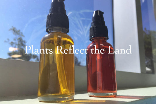 Two glass pump bottles of amber and red facial oil on a sunlit windowsill with tree reflections in the window