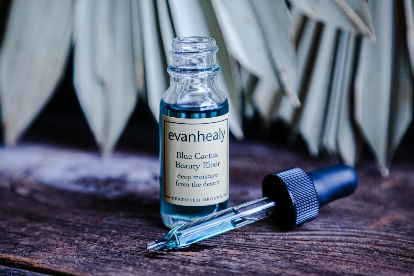 Front view of Blue Cactus Beauty Elixir bottle showcasing blue serum with glass dropper on wooden surface and blurred palm-leaf background