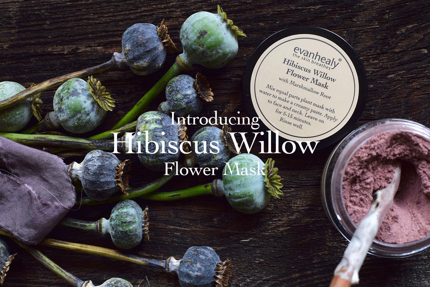 Jar of pink Hibiscus Willow Flower Mask powder beside its labeled tin and dried poppy pods on a dark wood background