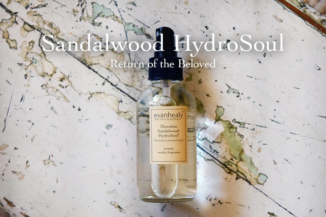 Front view of Sandalwood HydroSoul spray bottle showing clear liquid, black spray top, and evanhealy label on a distressed white wooden surface