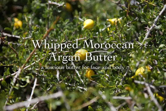 Promotional banner showing Whipped Moroccan Argan Butter headline and subheading a luscious butter for face and body over argan berries background