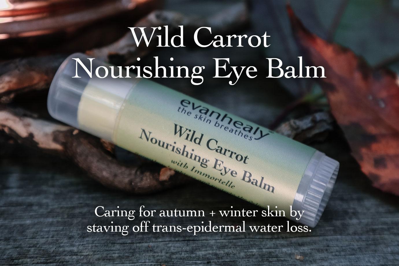 Angled close-up of Wild Carrot Nourishing Eye Balm tube showing label and clear cap on weathered wood with autumn leaves; overlay reads ‘Wild Carrot Nourishing Eye Balm’