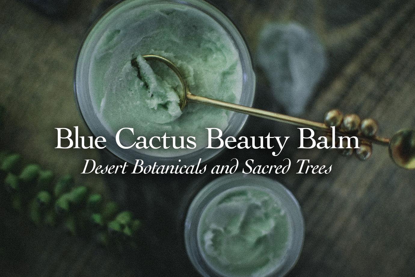 Overhead view of two jars of blue-green beauty balm with a gold spoon on a wooden surface and blurred greenery in the background