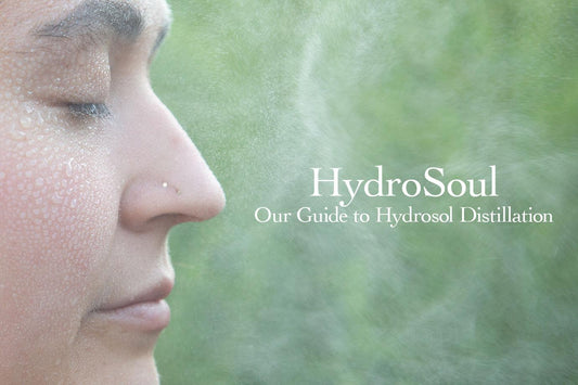 Close-up profile of a woman with mist on her skin, overlaid text HydroSoul Our Guide to Hydrosol Distillation