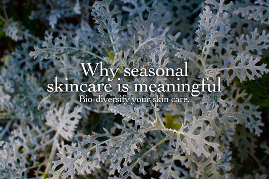 Close-up of silvery lacy plant leaves with overlaid text “Bio-diversify your skin care”