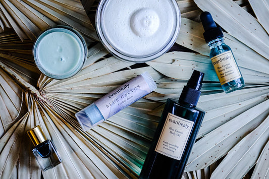 Top-down of Evanhealy Blue Cactus products: cooling balm, body oil, dropper elixir and cream jars on dried palm leaves