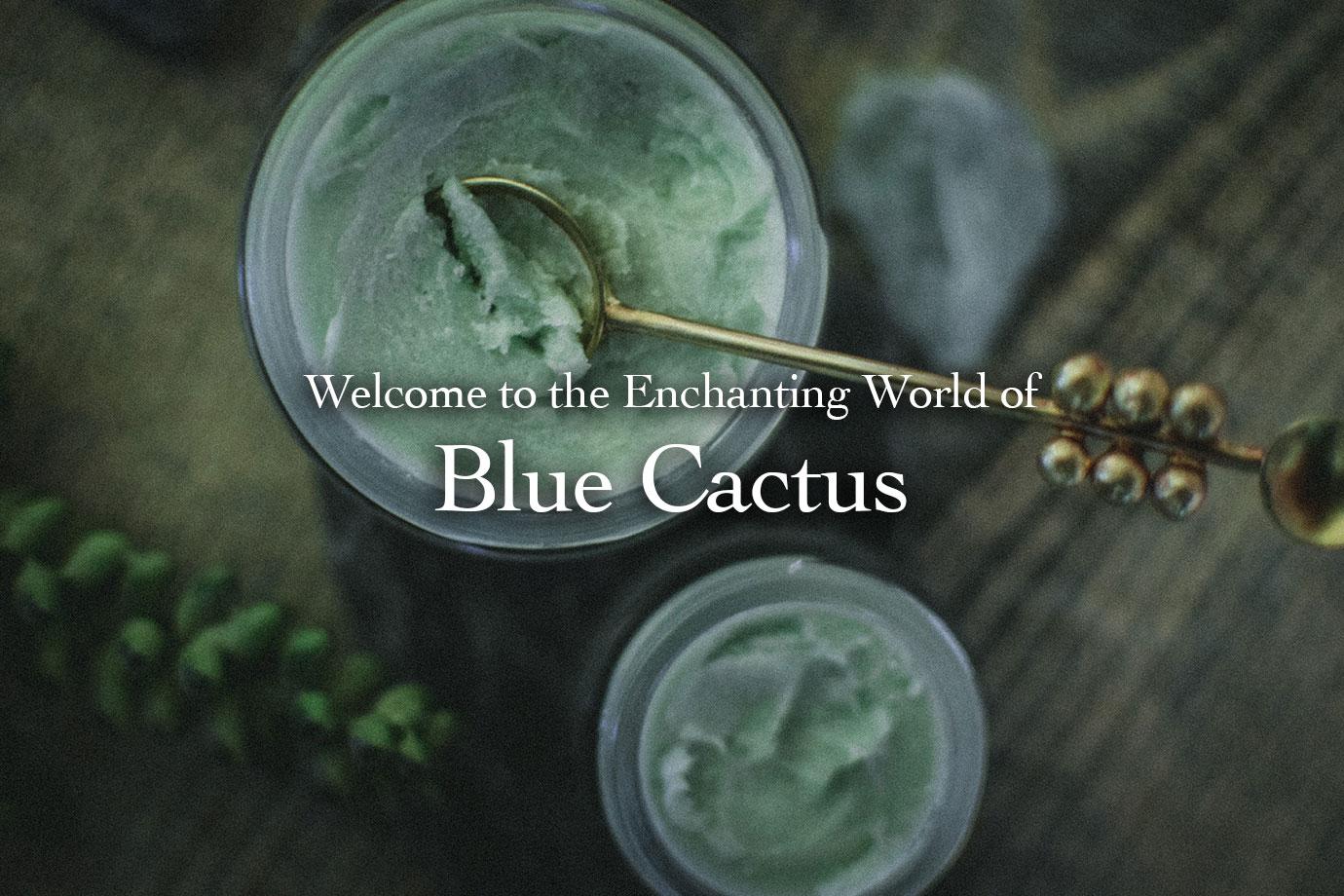 Two jars of pale green Blue Cactus cream with a gold spoon on a wooden table, overlaid text Welcome to the Enchanting World of Blue Cactus