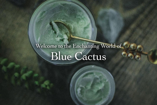 Two jars of pale green Blue Cactus cream with a gold spoon on a wooden table, overlaid text Welcome to the Enchanting World of Blue Cactus