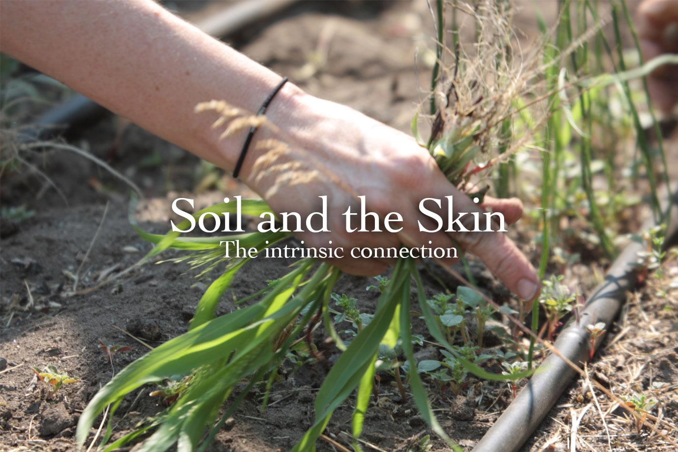 Hand pulling weeds from dry soil, overlaid headline Soil and the Skin, The intrinsic connection