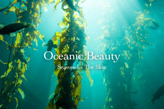 Underwater kelp forest swaying in sunlit water, with overlaid headline Oceanic Beauty: Seaweed and The Skin