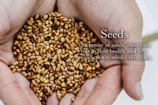 Photo of cupped hands holding brown seeds with overlay text Seeds, The power of seeds and their role in skin health