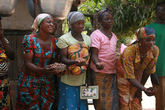 Group of women in colorful clothing holding and offering shea nuts in an outdoor village setting
