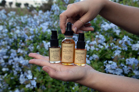 Three Evanhealy rosehip oil and serum bottles held in hands against a blurred flowering garden background