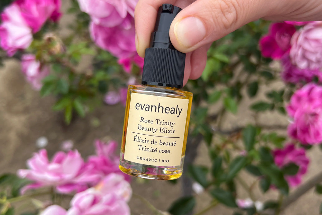 Front view of Rose Trinity Beauty Elixir bottle showcasing label, pump top, and golden oil with pink roses blurred in the background
