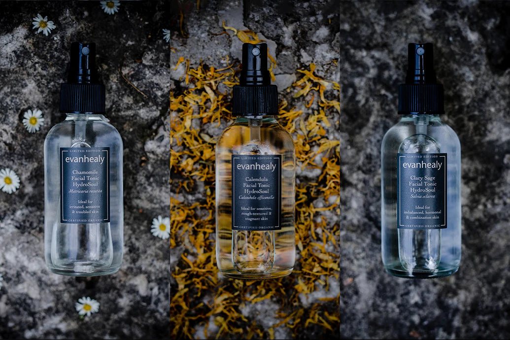 Front view of three Evan Healy facial tonics (Chamomile, Calendula, Clary Sage) with labels and spray tops on stone and dried herb backgrounds