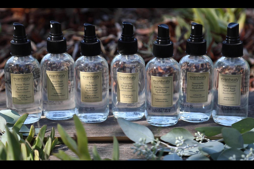 Front view of evanhealy hydrosol spray bottles showing labels and black spray tops on wood with eucalyptus leaves in front