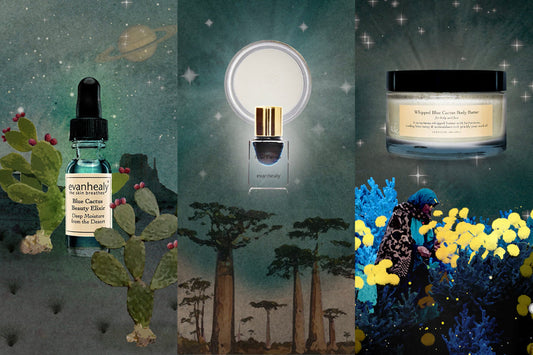 Three evanhealy Blue Cactus products floating over a starry, dreamlike desert and floral collage