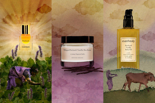 Three evanhealy patchouli products arranged across a watercolor triptych with field scenes of a harvester, grazing cow, and warm sunrise